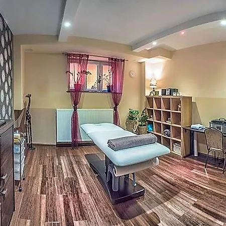 Otel Hotel Niemcza Spa